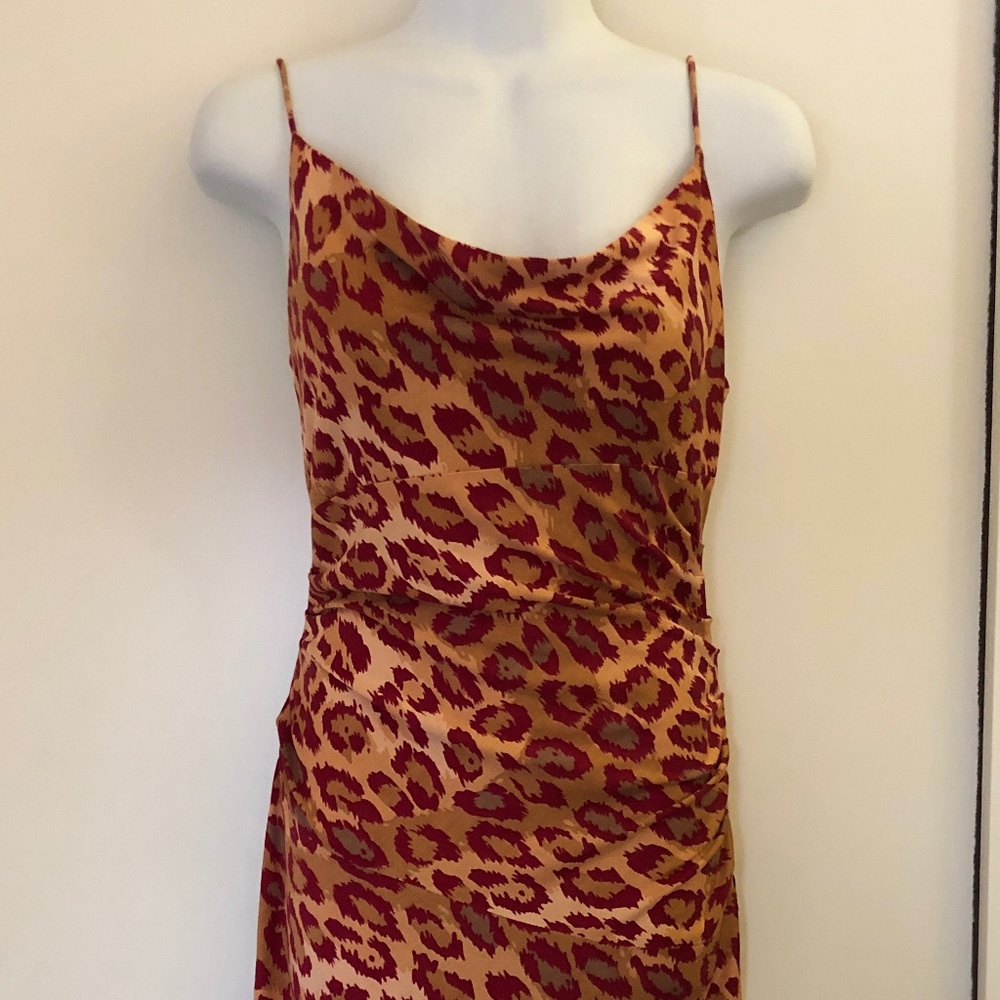 Diane Von Furstenburg leopard pattern dress.